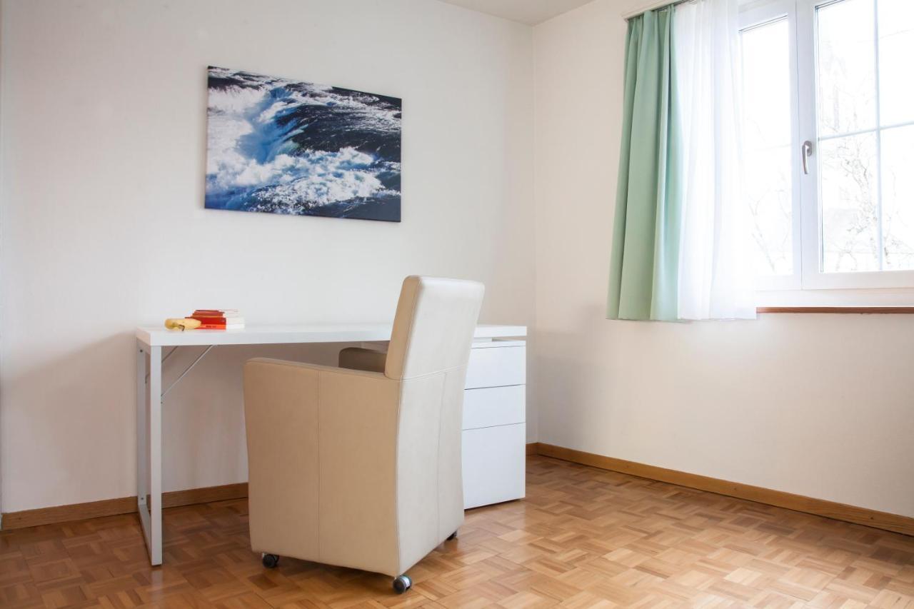 City Stay Furnished Apartments - Fasenstaubstrasse 沙夫豪森 外观 照片